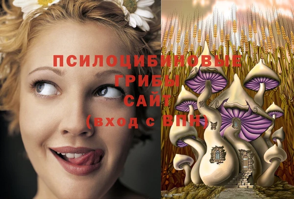 мет Вязники