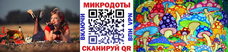 OMG сайт  Вятские Поляны  Галлюциногенные грибы Cubensis  цена  