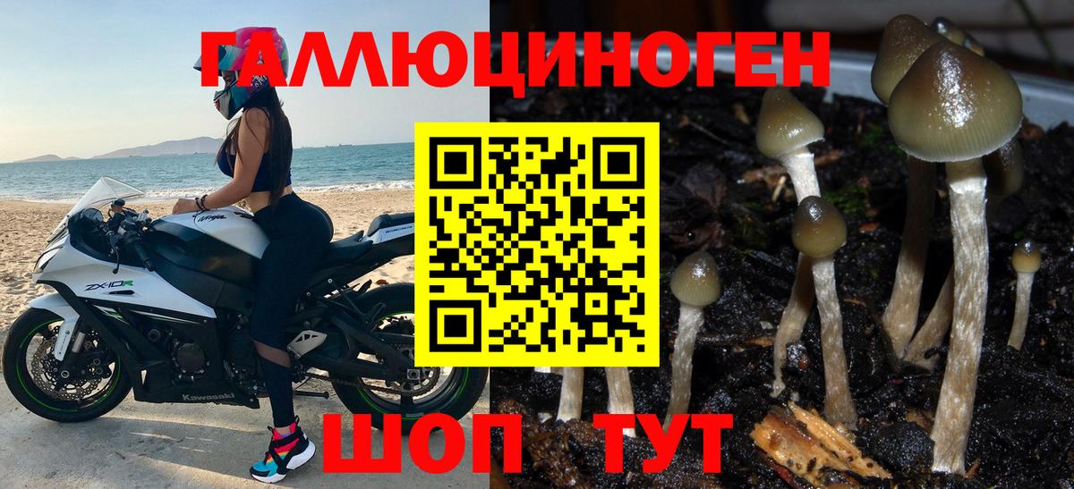 Вятские Поляны  Галлюциногенные грибы MAGIC MUSHROOMS  Вход с VPN  Галлюциногенные грибы прущие грибы 