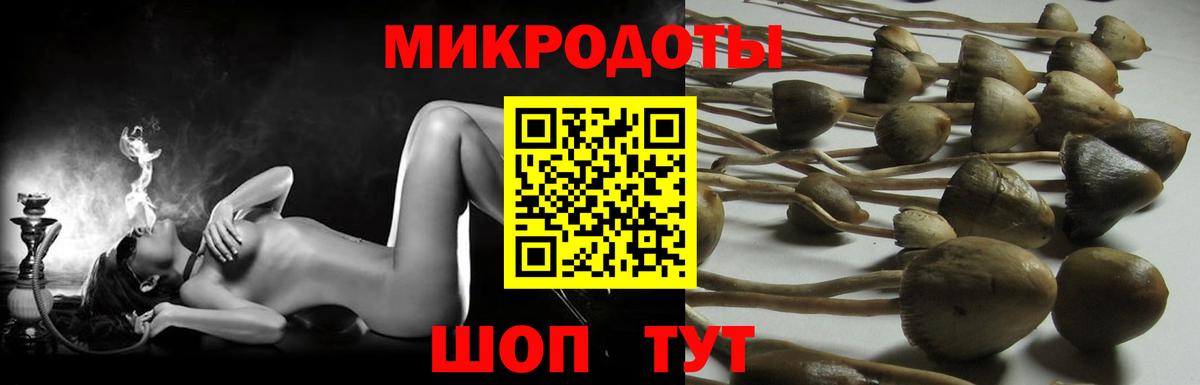 Галлюциногенные грибы Magic Shrooms Вятские Поляны