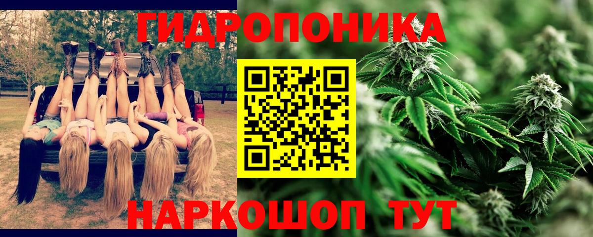 Шишки марихуана VHQ  МАРИХУАНА VHQ  Вятские Поляны  Вход с VPN  Бошки Шишки семена  Канабис White Widow 