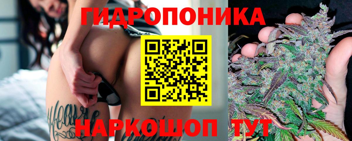 Бошки Шишки THC 21% Вятские Поляны